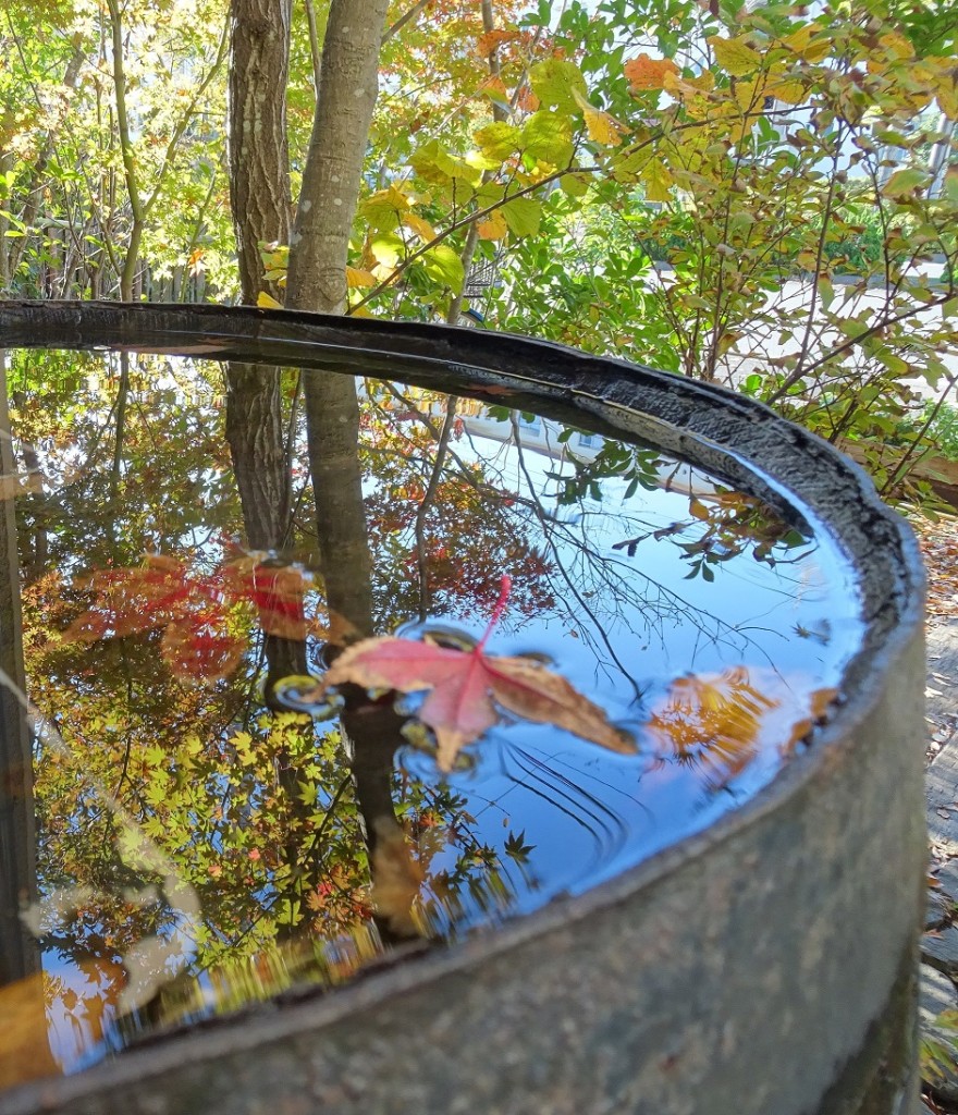 樽の水面に映った紅葉20191129.jpgミニ